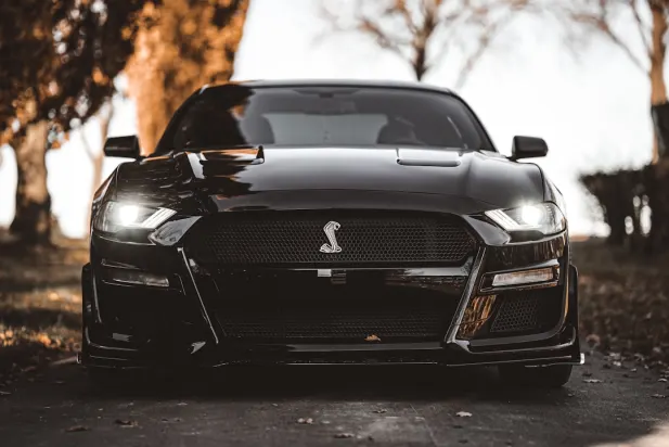 라필랜더스 카지노 안드로이드/iOS 앱